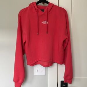 North Face Evolution Hi-Lo Cropped Hoodie